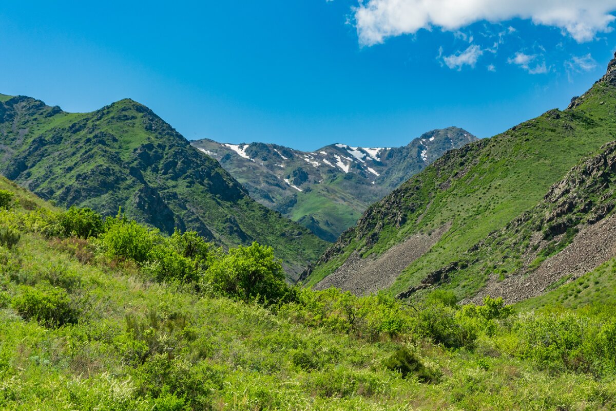 Джунгарский Алатау ущелье