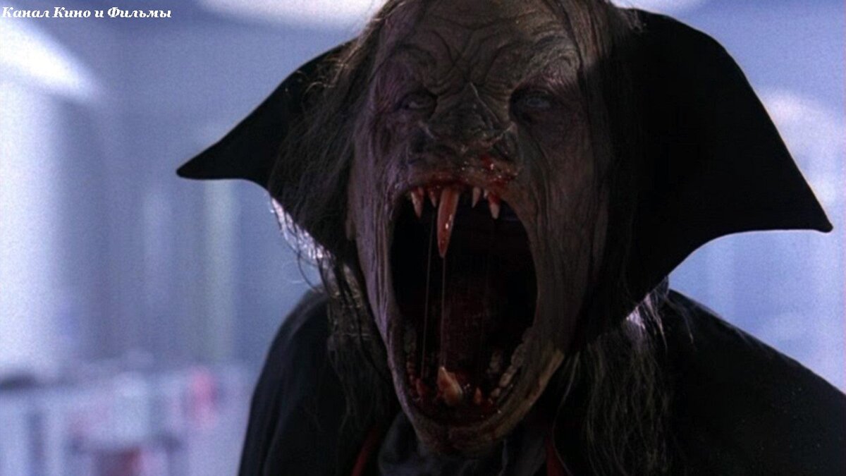 Фото из открытых источников где размещены иллюстрации для общего пользования