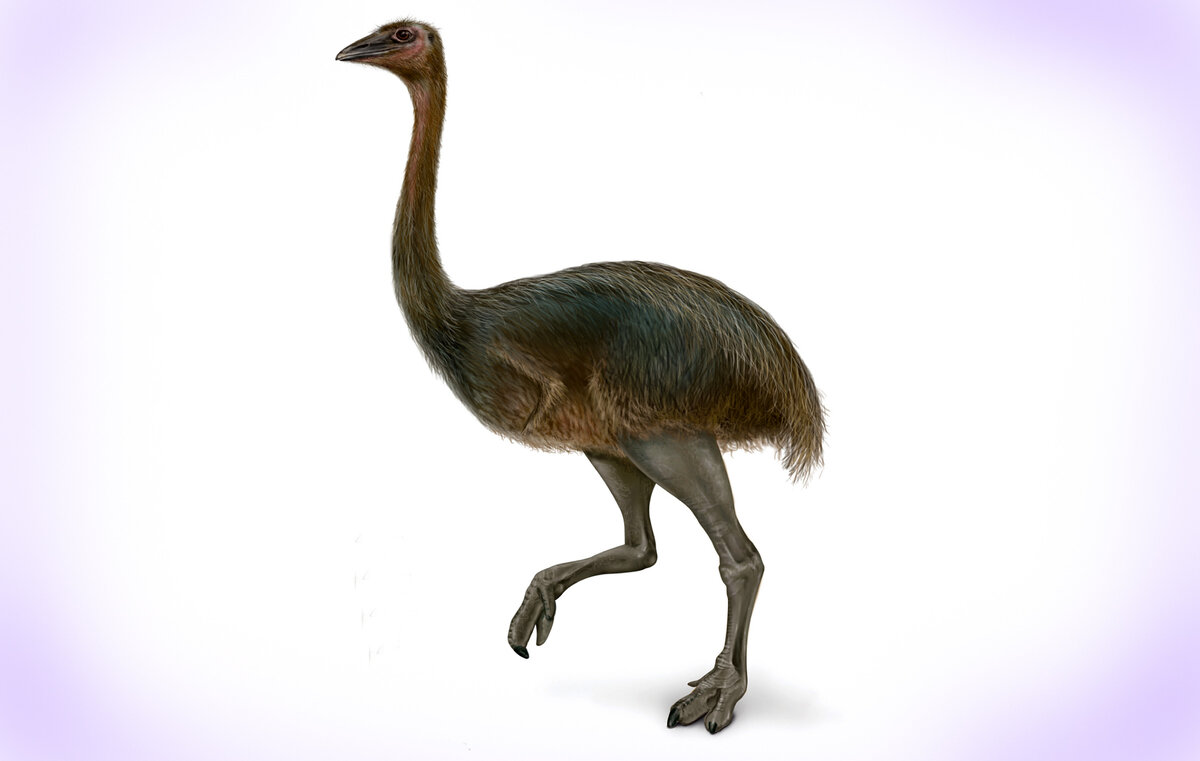 Источник фото: britannica.com