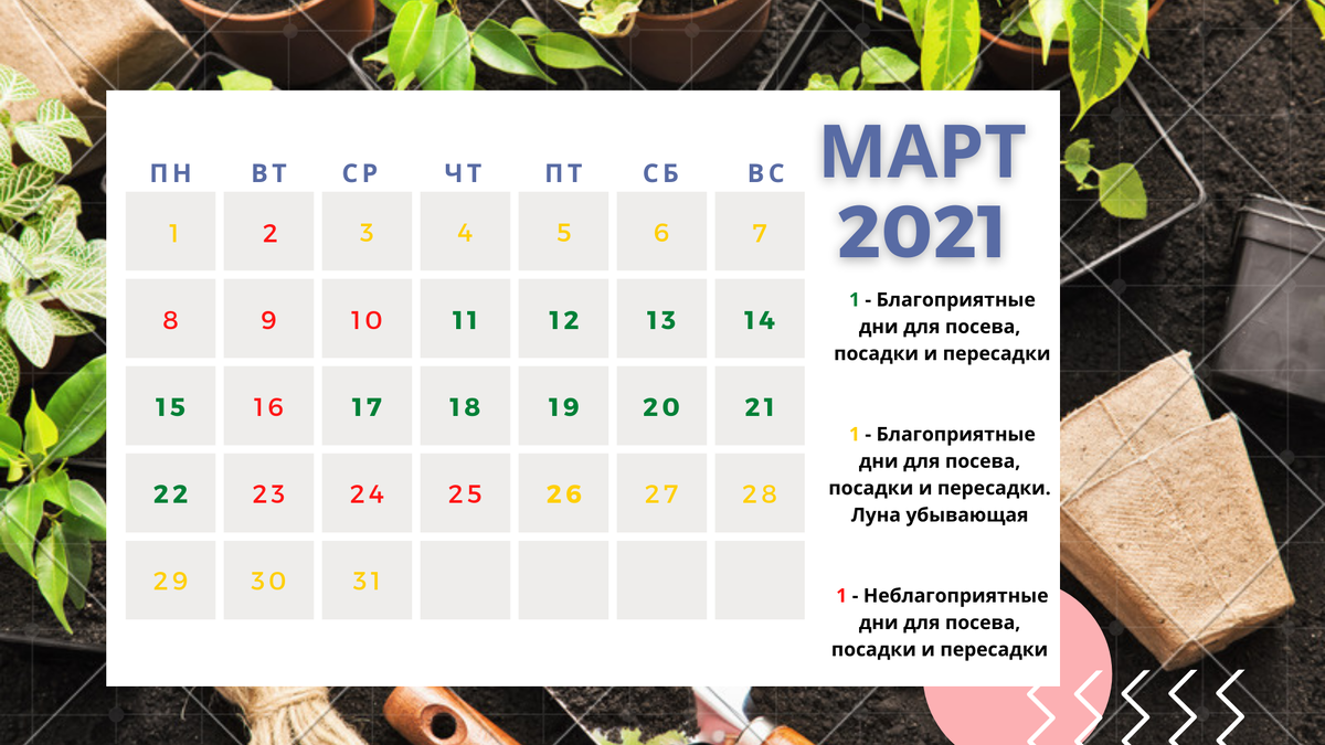 Календарь пересадки перца в марте 2024