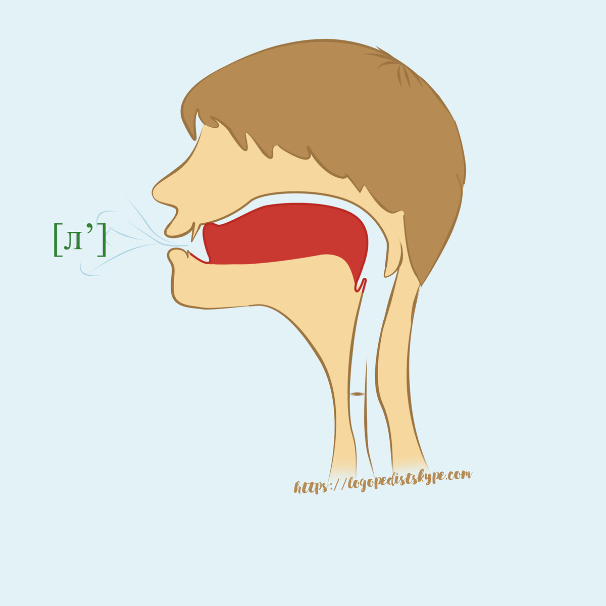Норма, правильное произношение звуков Л, Ль | Логопед Скайп | Дзен