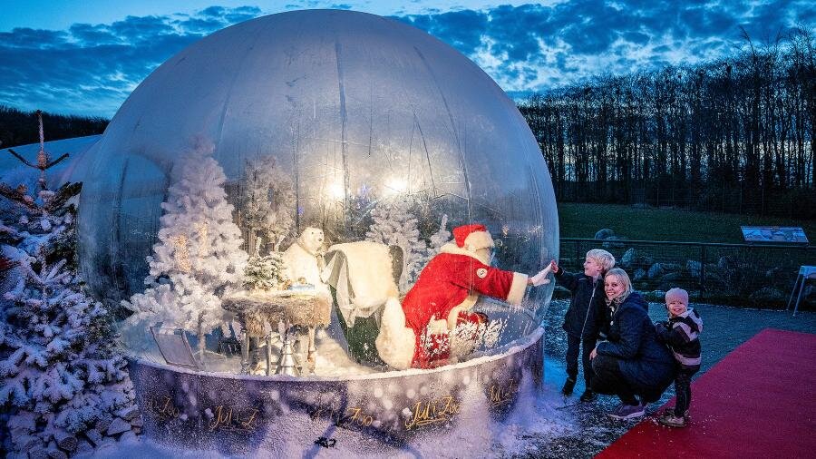 Источник иллюстрации: Твиттер CGTN