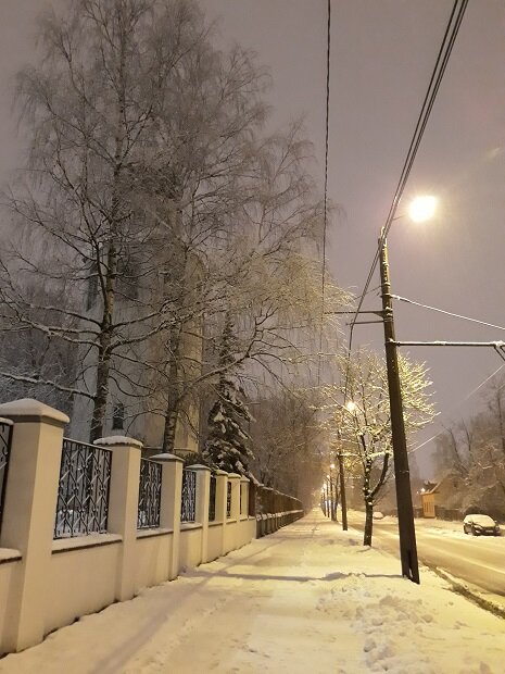 Рига, 26 декабря 2020. Католическое Рождество было белым и православное - тоже. :-) 