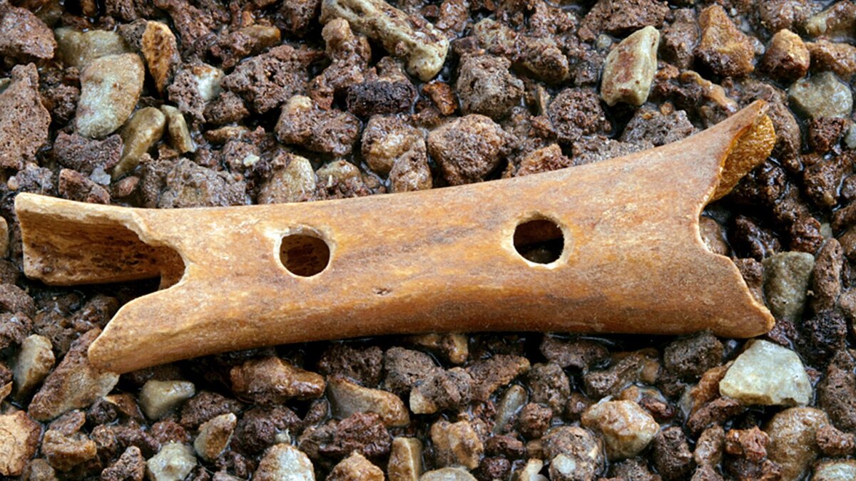 Человек, извлекавший из нее звуки, жил 35-37 тысяч лет назад.