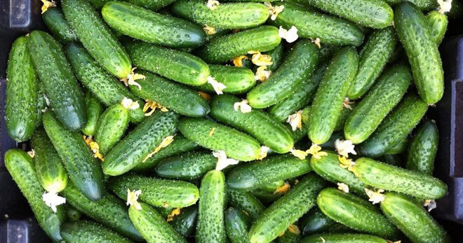 Фото из свободных источников