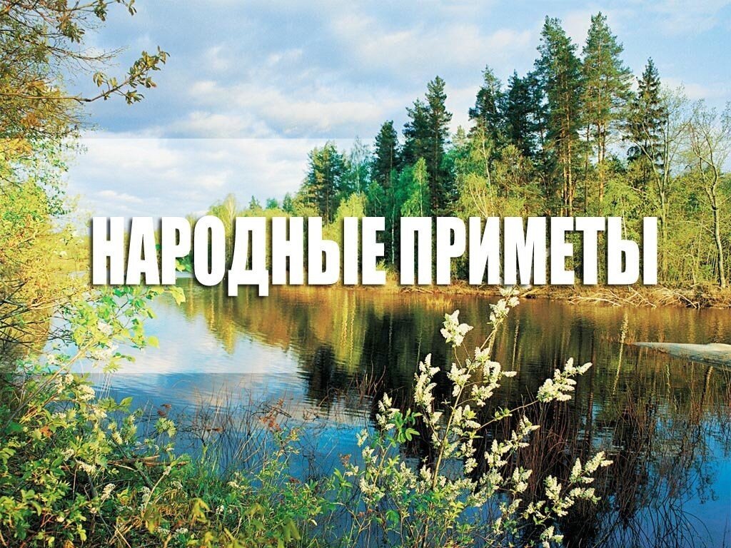 Приметы и советы про СОЛЬ.