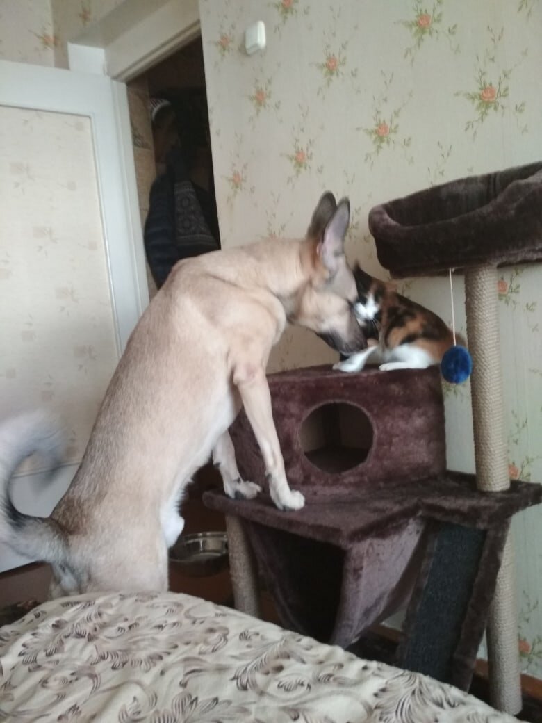 Мои детки конфетки. Нежности. 