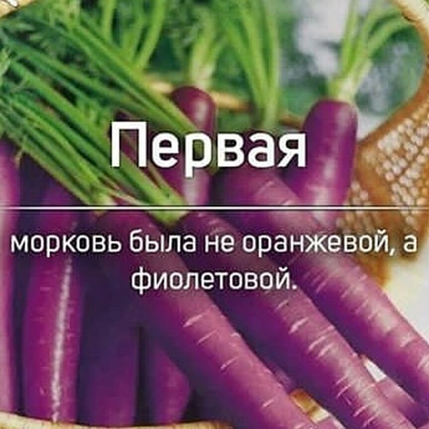 Интересные факты