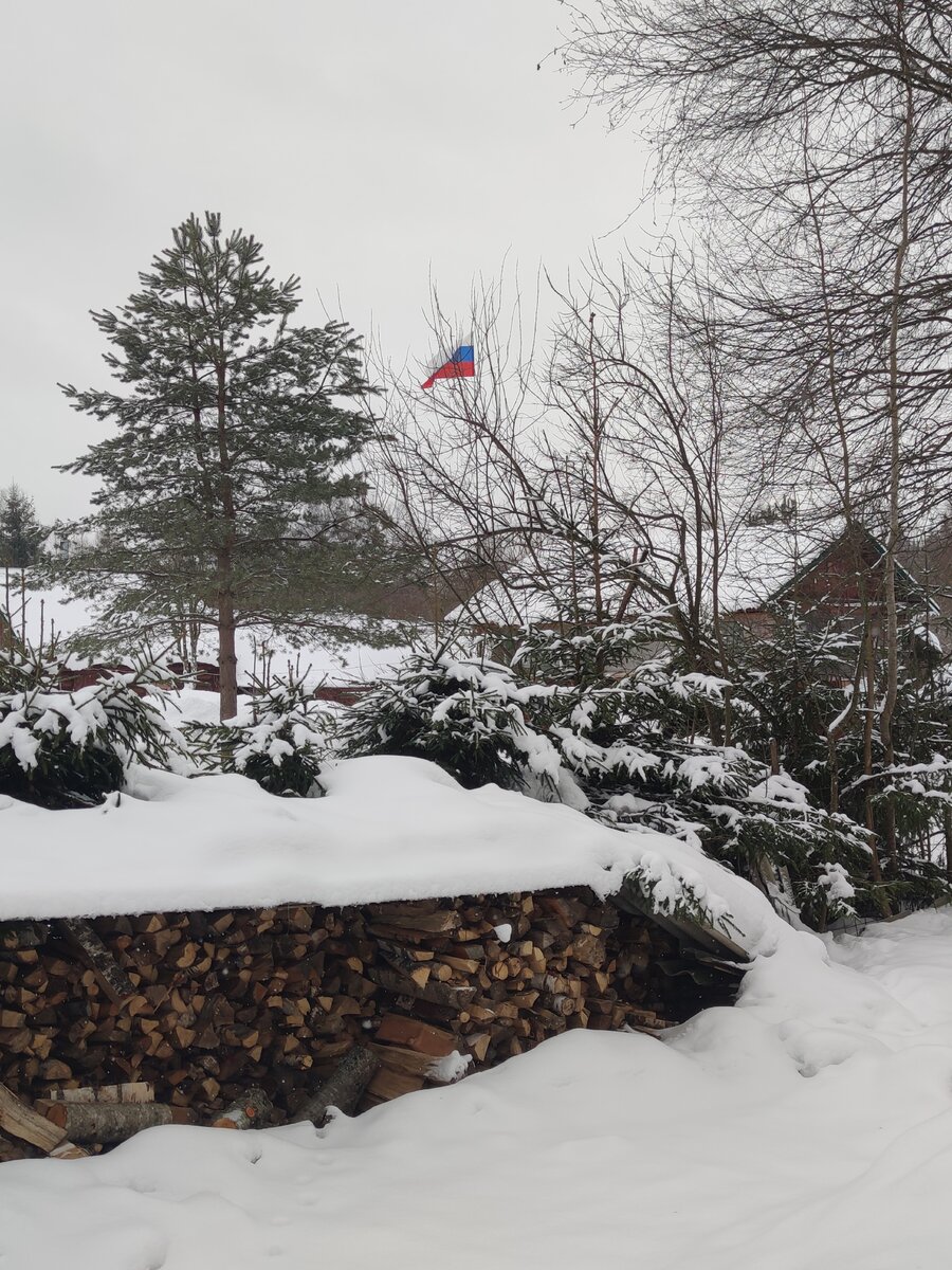 Все фото, кроме последнего - фото автора. 