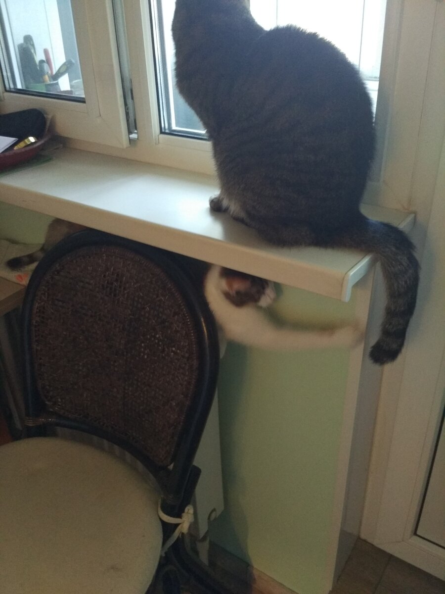 Надо дернуть Леву за хвост!