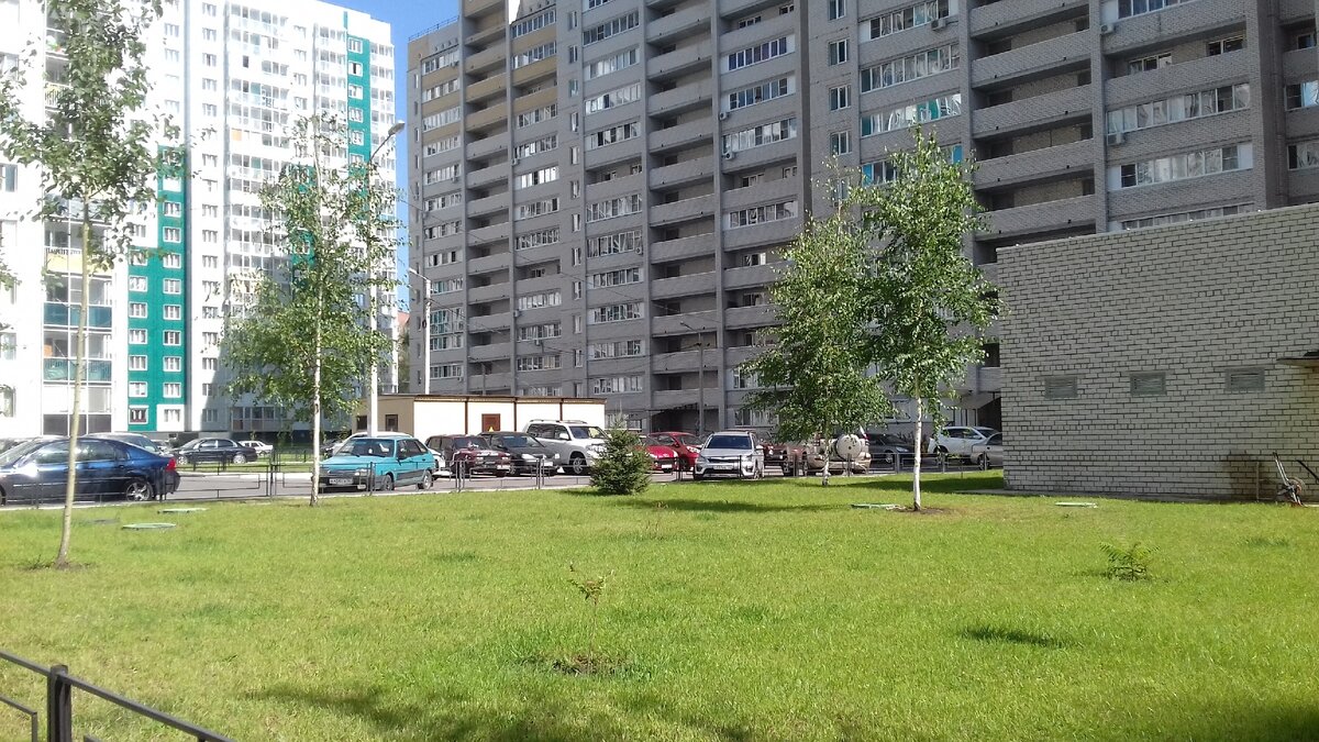 Автор: Дневники переселенки