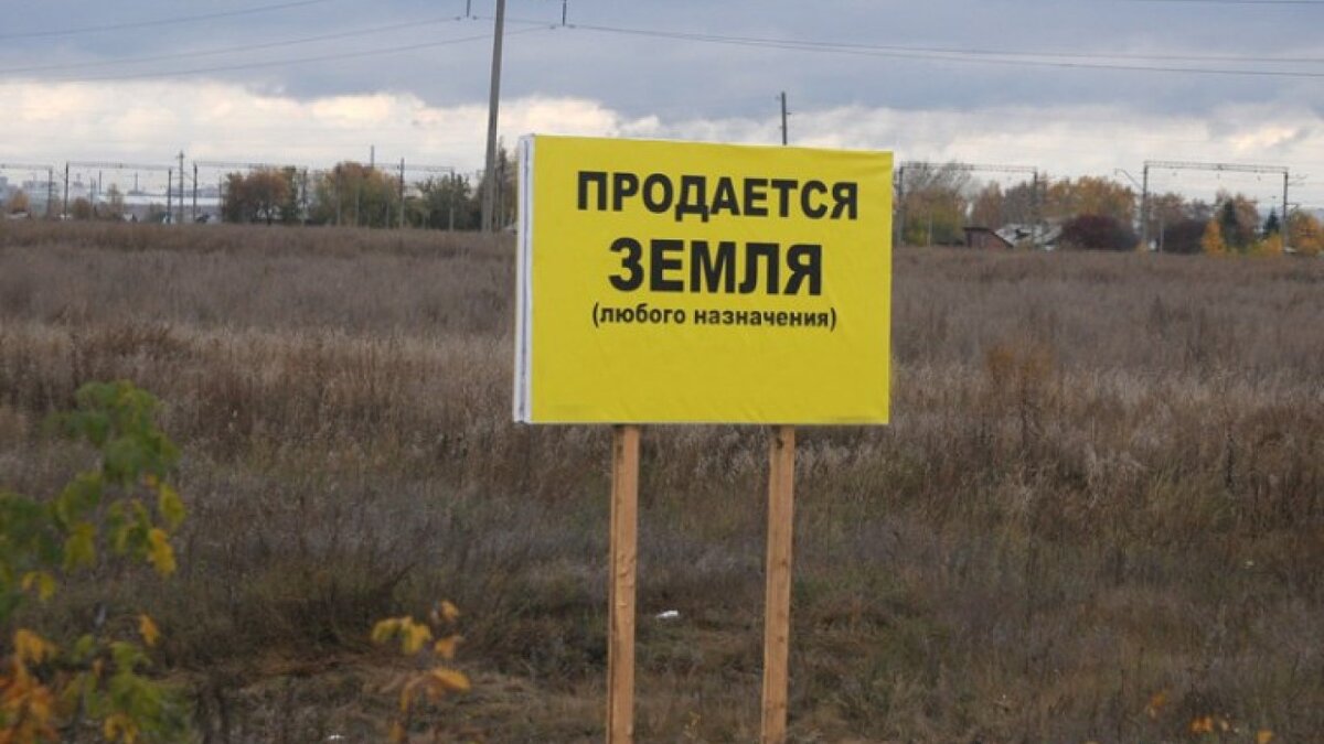 Объявление продается земельный участок образец