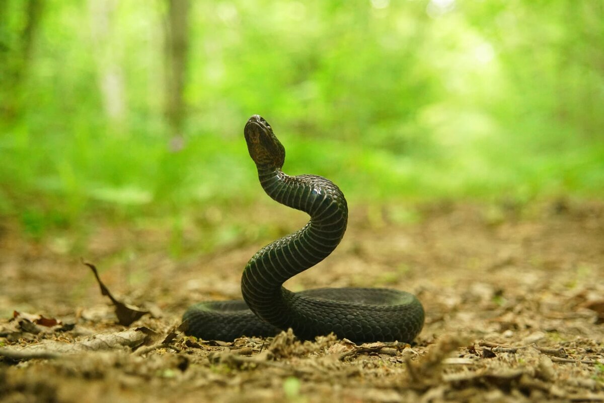 Консультирую по дате рождения, Предназначение, Совместимость, Прогнозы