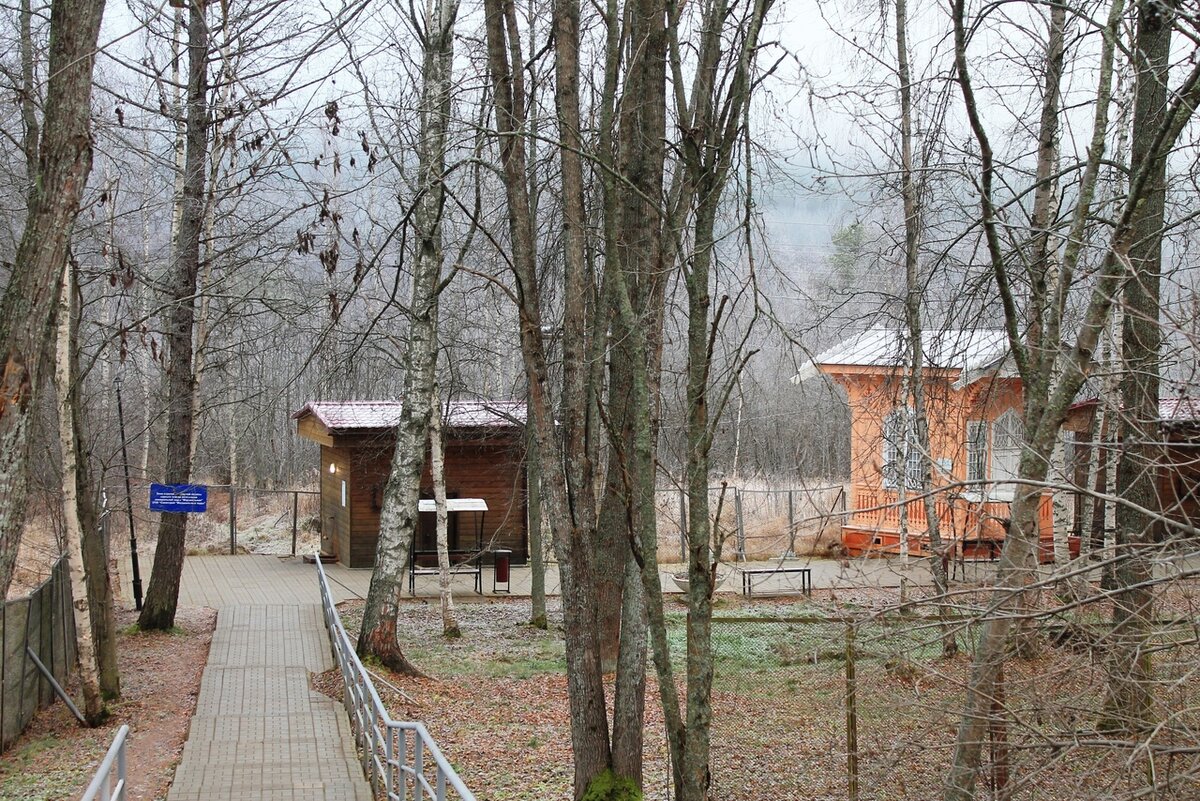 (Фото: Наталья Порошенкова)