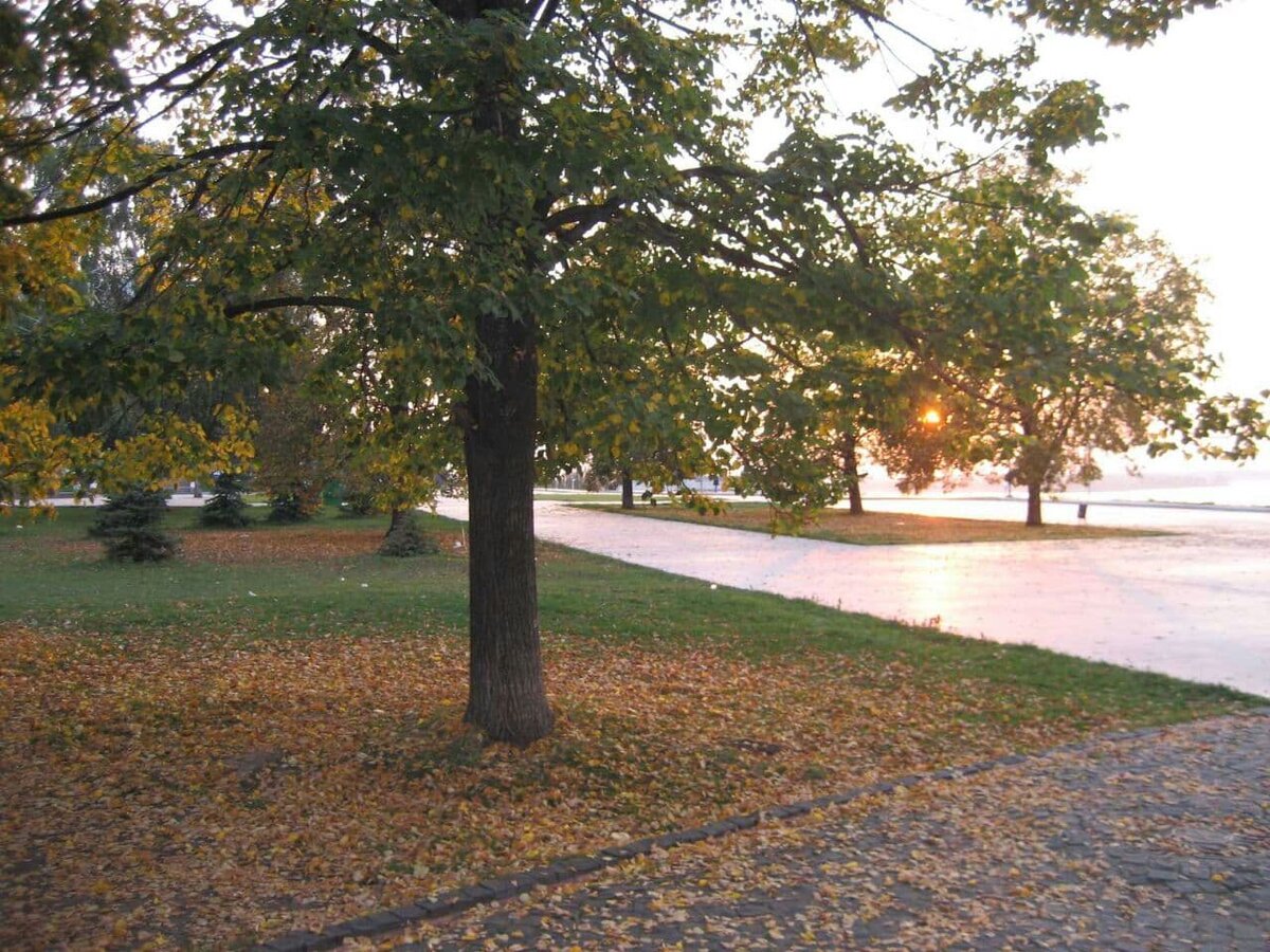 Фото автора.