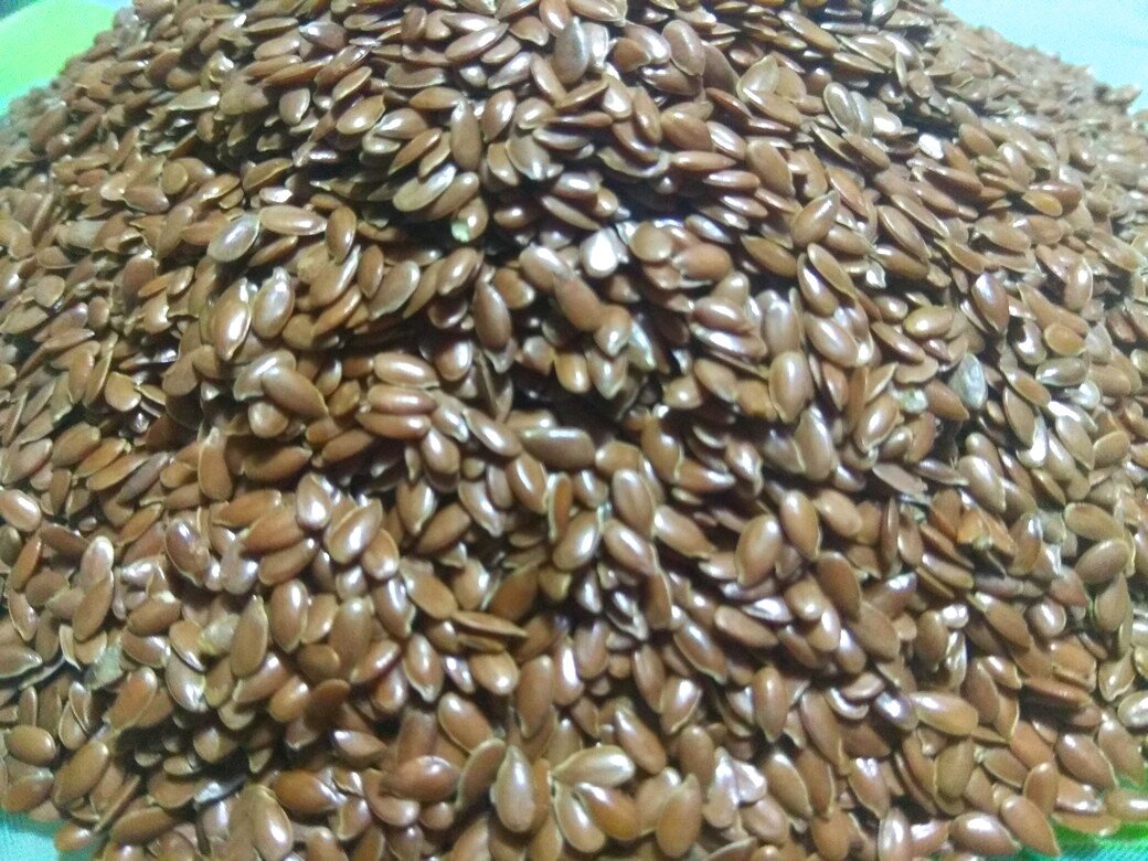 Семена льна.