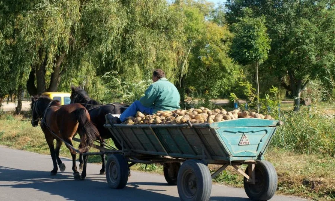 Гужевой скот. Гужевая повозка. Телега с лошадью. Воз телега. Конь с телегой.