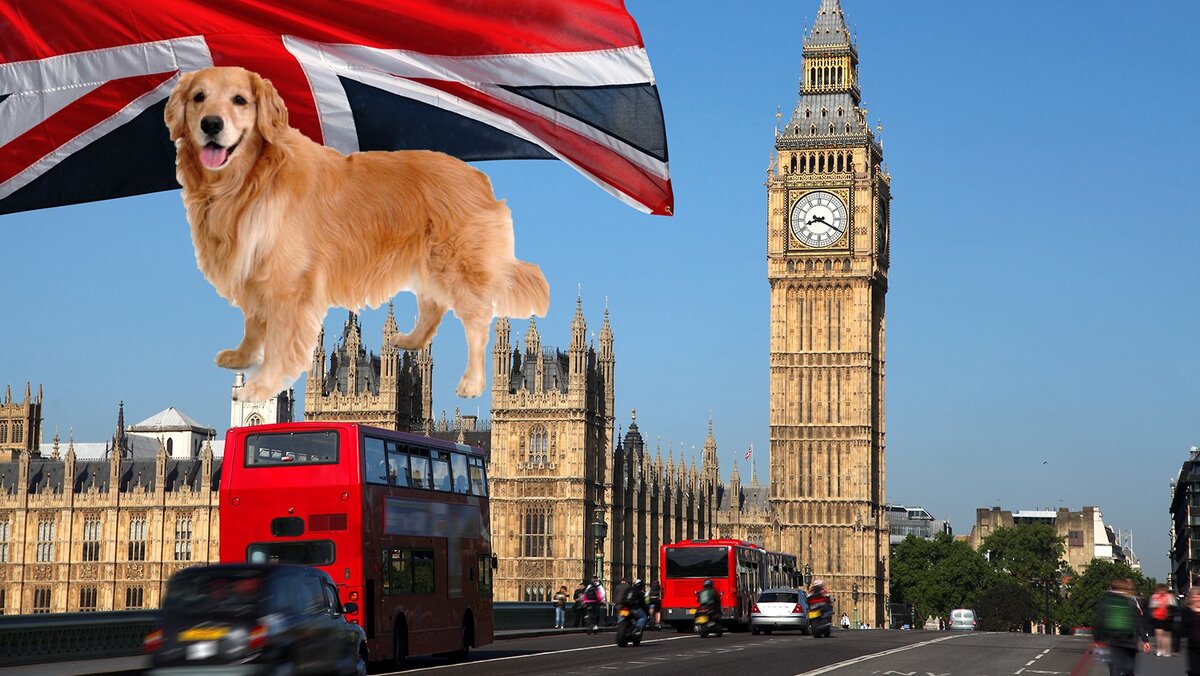 Картинка из интернета. Коллаж из личного архива