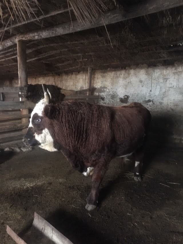 На прогулке