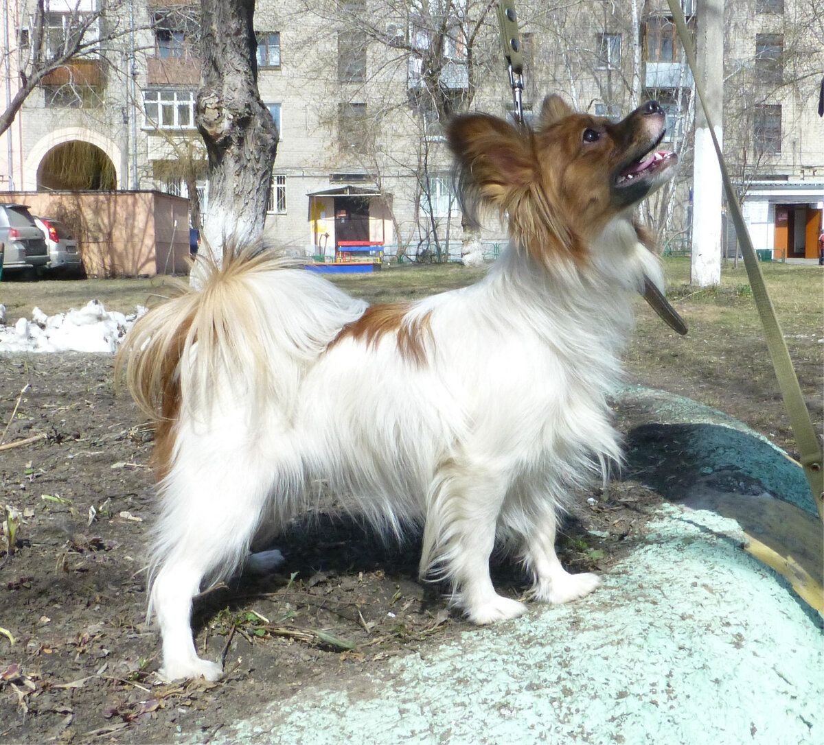 моя малышка