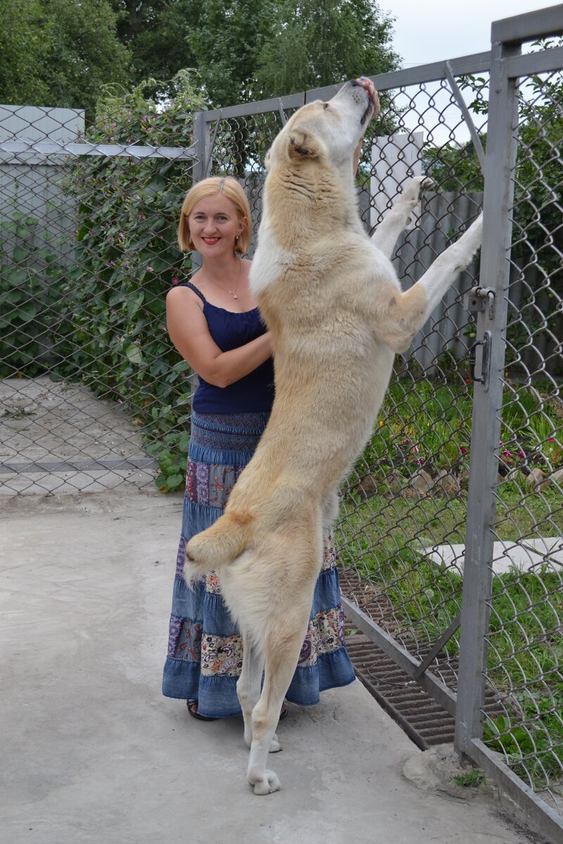 фото из семейного архива