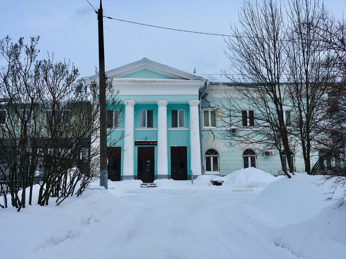 Научно-исследовательский технологический институт имени П. И. Снегирёва