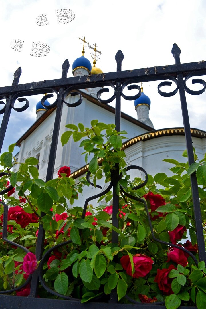 Розы у храма