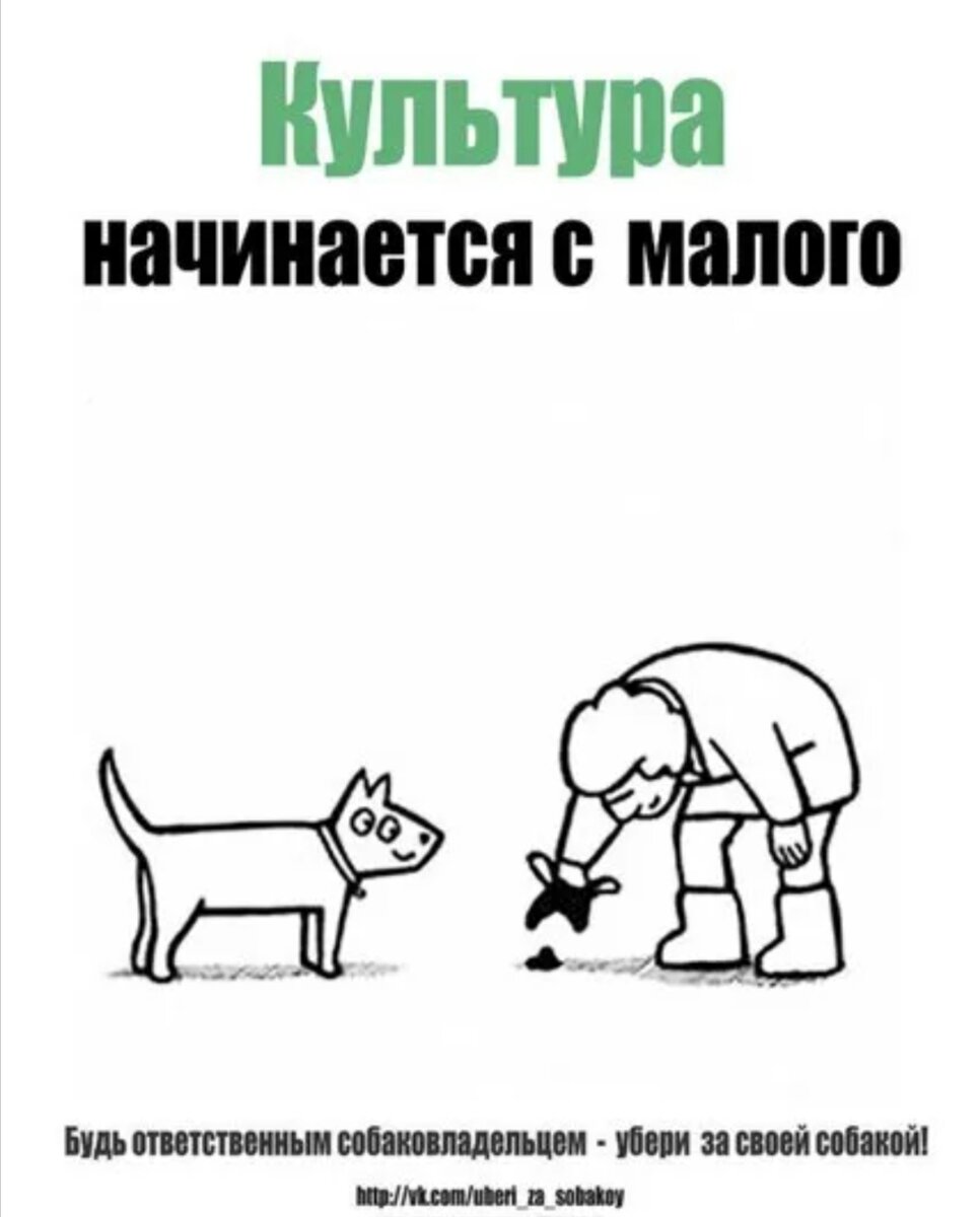 Картинка для иллюстрации. Взята из открытых источников