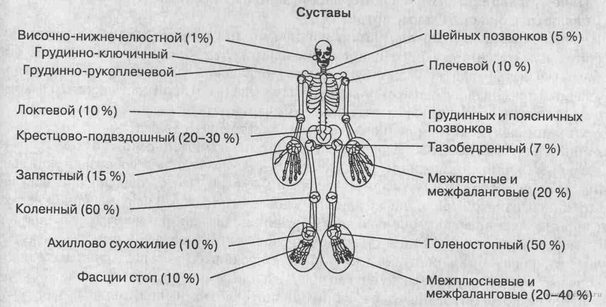 межфаланговые суставы тип соединения костей. классификация суставов по осям вращения.