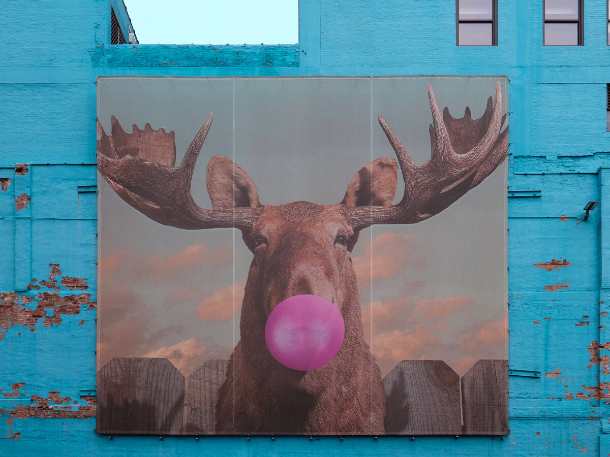 Фото Джека Колпитке на Unsplash