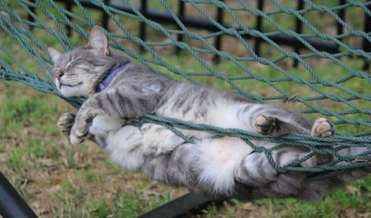 фото использовано в качестве иллюстрации. Источник "Яндекс.Картинки"