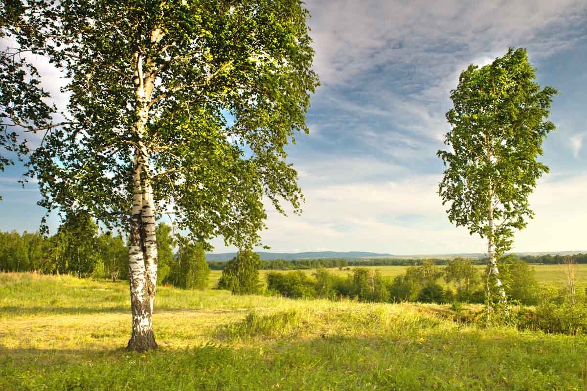 Часть 1. Семь тайн народной куклы