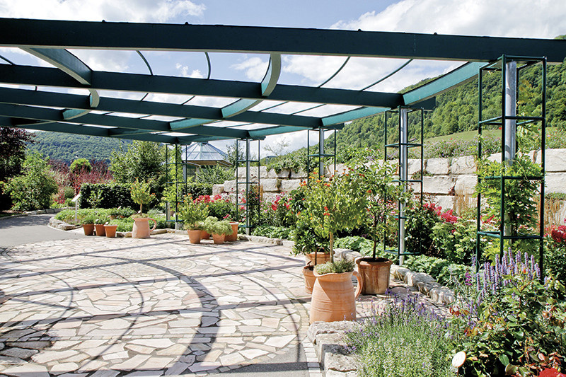 Топ-5 натуральных витаминов Кройтерхаус Санкт-Бернхард + скидка 15%!