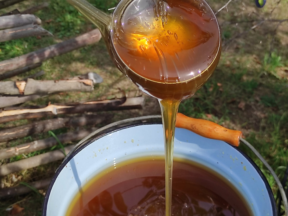 Наш северный мёд