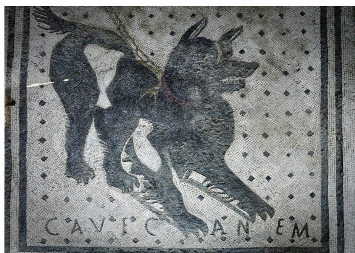 Это древнеримская мозаика из г Помпеи https://www.bbc.com/news/world-europe-33677957