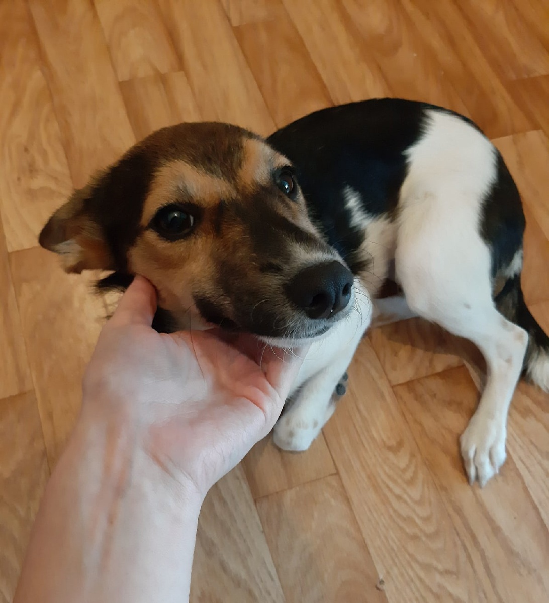 испуганная Баффи