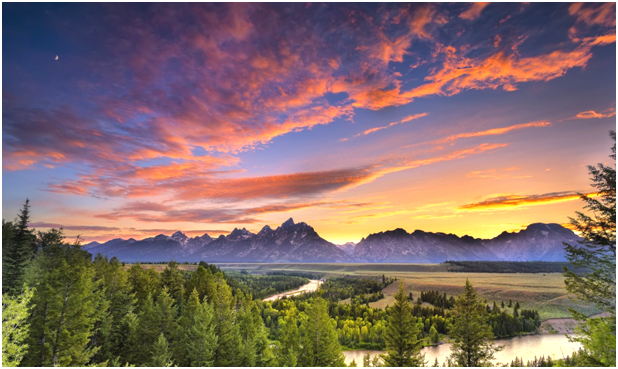 фото из Интернета