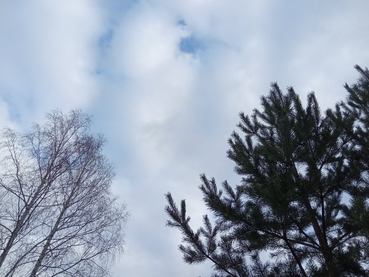 Фотография из личного архива автора