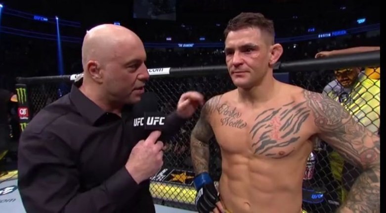 Взято и свободного источника Яндекс. Картинки 