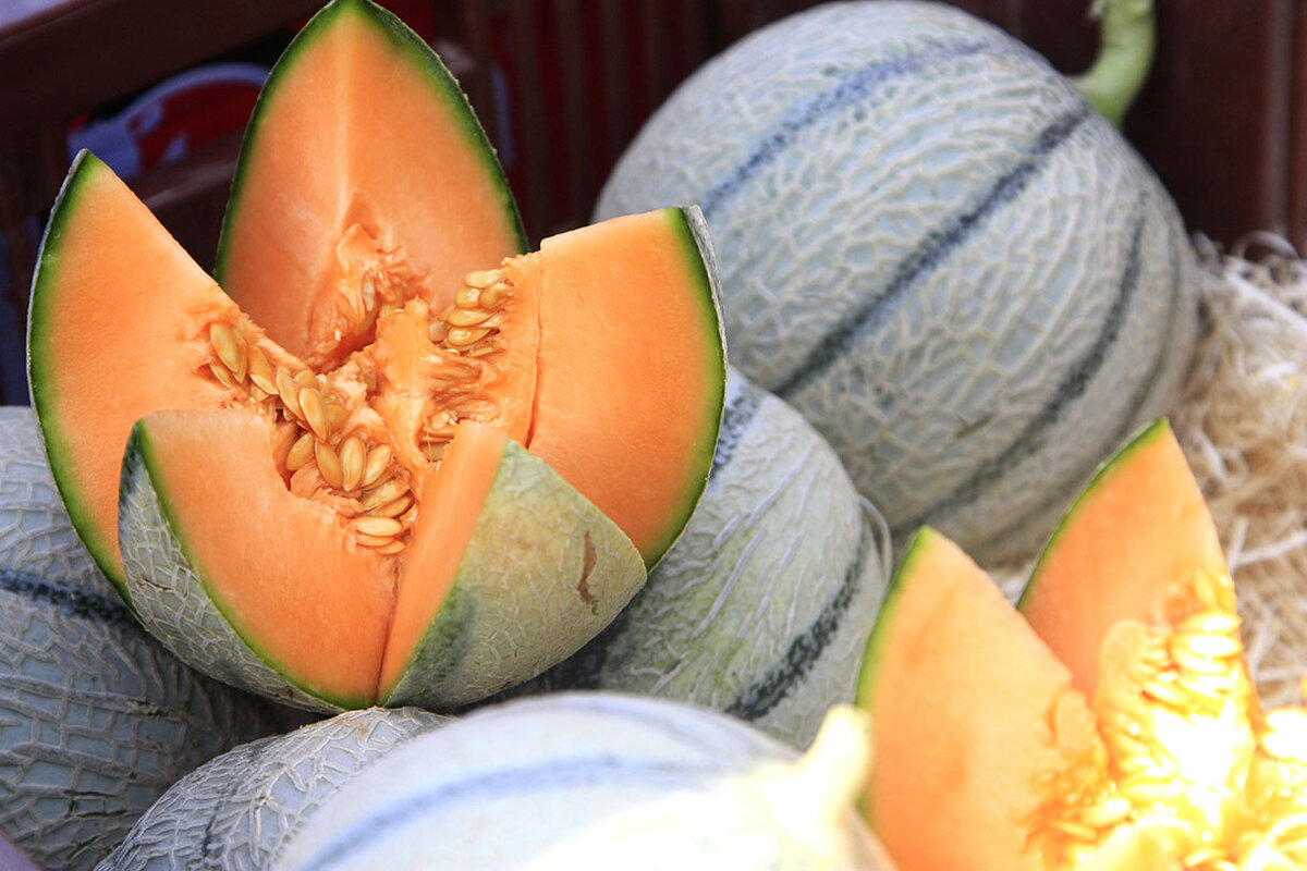 Melon de Cavaillon