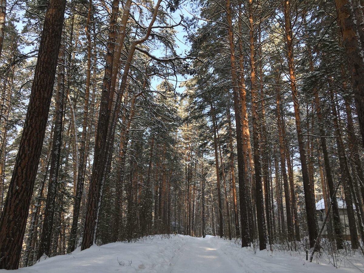 Парк-отель 