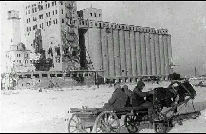 Сталинградцы на повозке, напротив элеватора. Зима 1943 г.