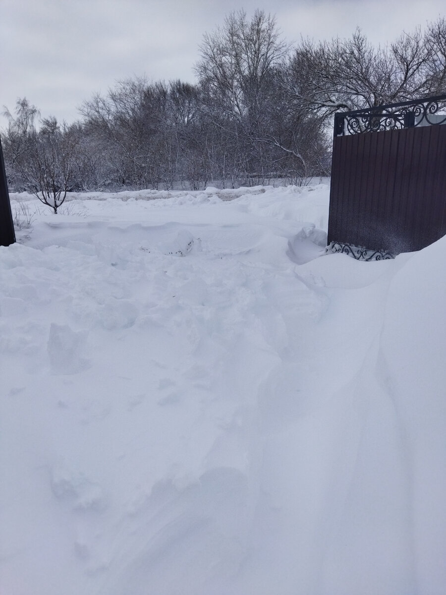 То, что было откопано, снова занесло снегом. Робота была проделана зря. 