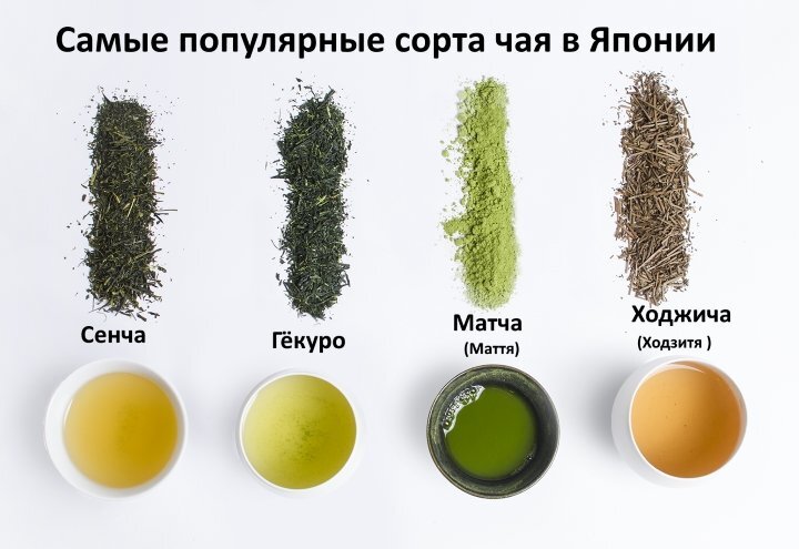 Легендарный эликсир молодости – Форум об Италии