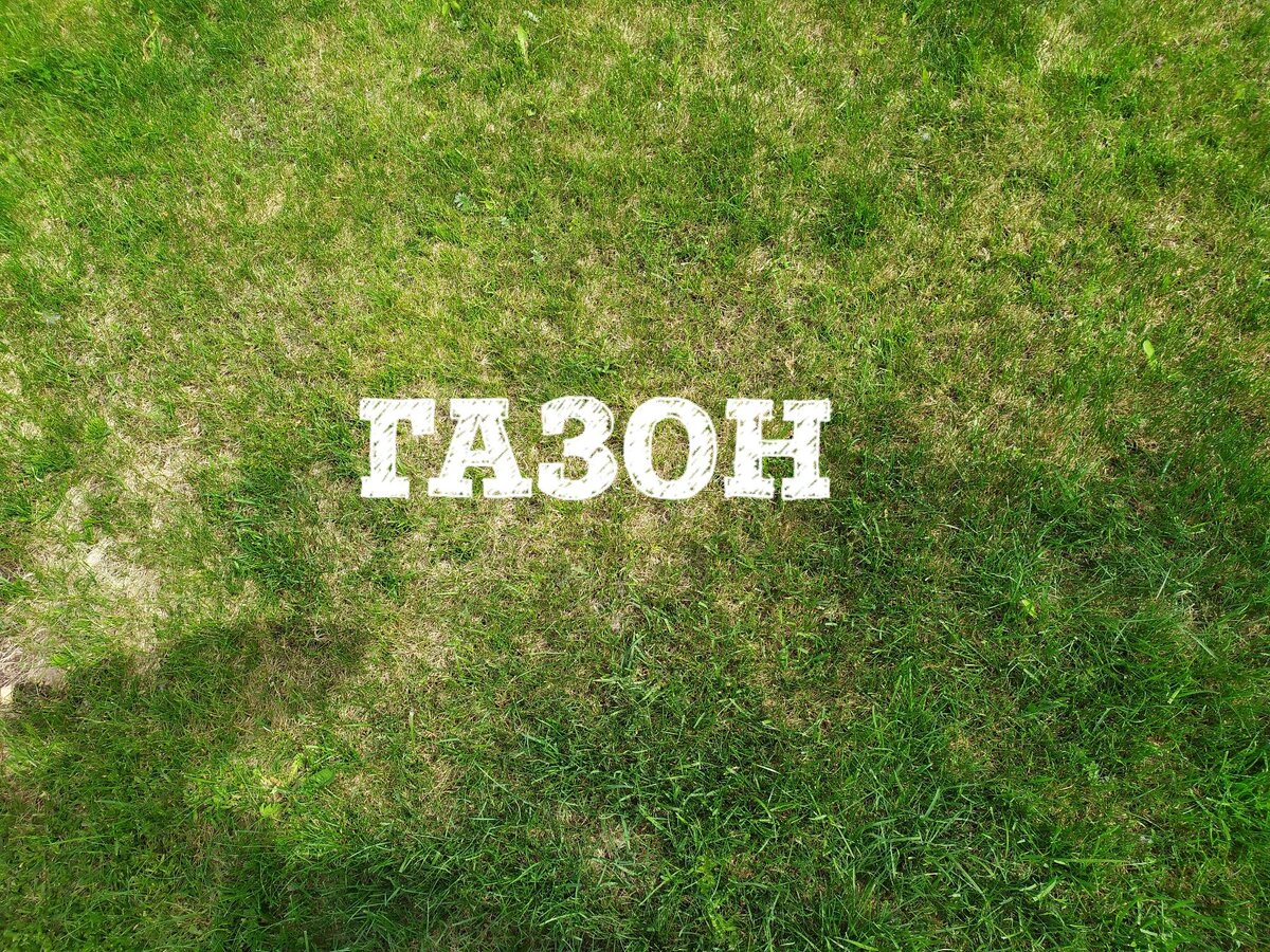 Самая нужная вещь на участке 