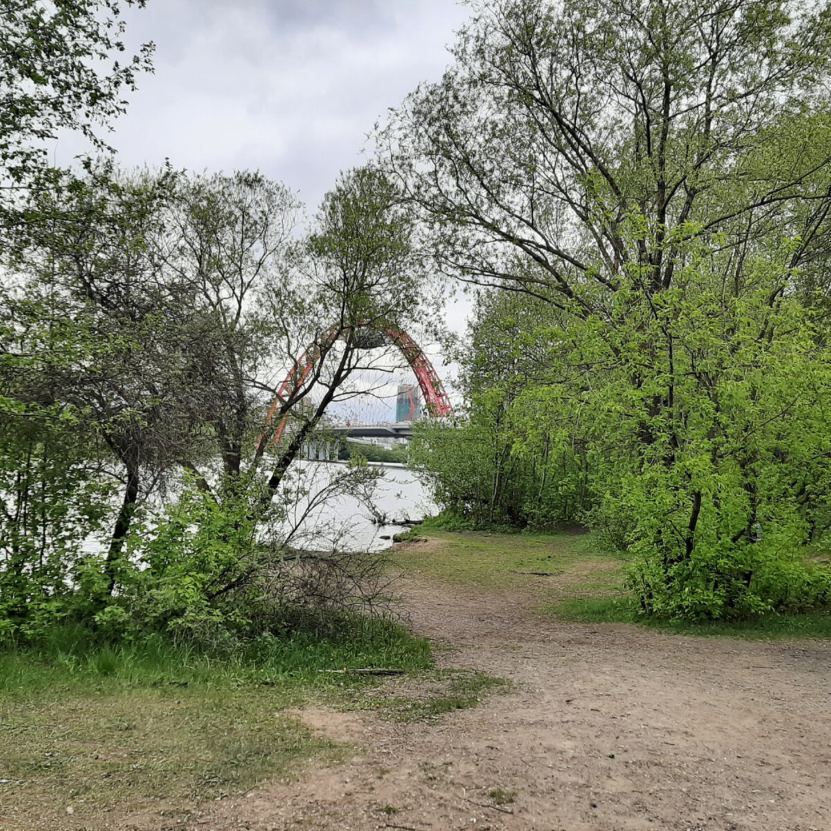 Розовые яблони в городе | Ирина Я.(Sepia) | Дзен