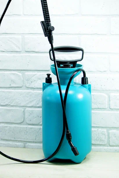 Фото и коллекция автора Masteritayaplants