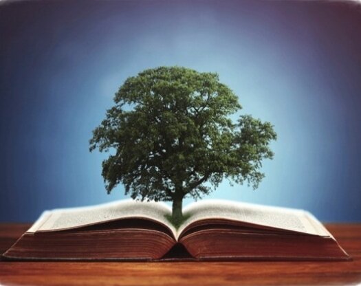 Энергетический прогноз на 23 июня