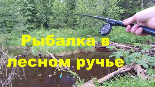 Рыбалка в лесном ручье.