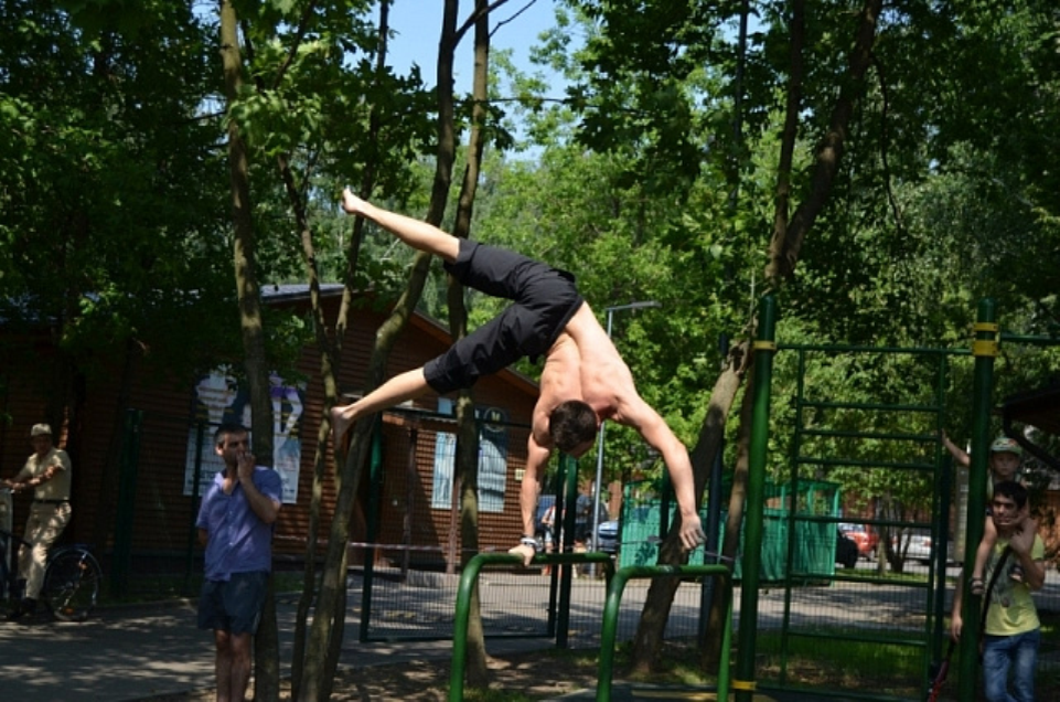 Площадка для воркаута в парке кузьминки. Парк Кузьминки спортплощадка. Кузьминский парк спортивные площадки. Воркаут Пестовский парк. Современные воркаут площадки.